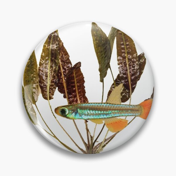 Item preview, Lampeye with Crypt Plant designed and sold by killies.