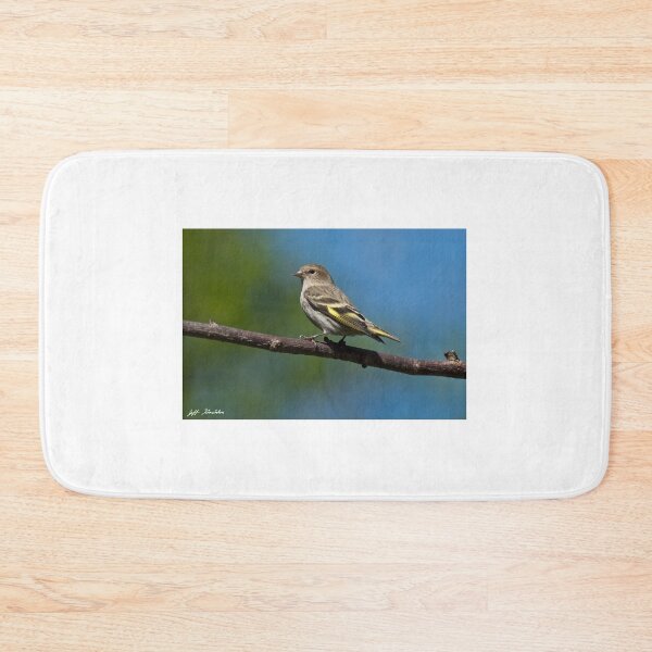 Item preview, Pine Siskin Perched on a Branch designed and sold by Jeff Goulden Photography.