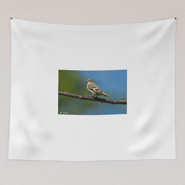 Item preview, Pine Siskin Perched on a Branch designed and sold by Jeff Goulden Photography.
