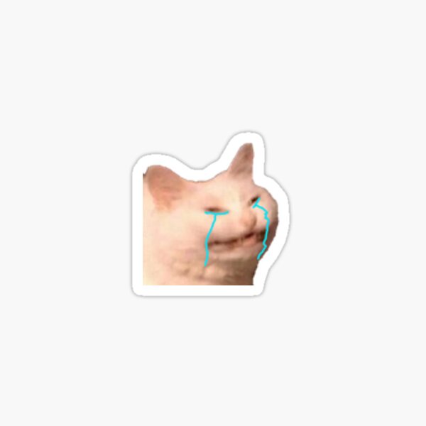 chat pleurer discorde emote Sticker