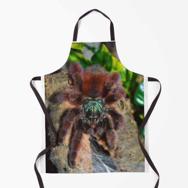 Item preview, Martinique Pink Toe Tarantula designed and sold by Nammu.