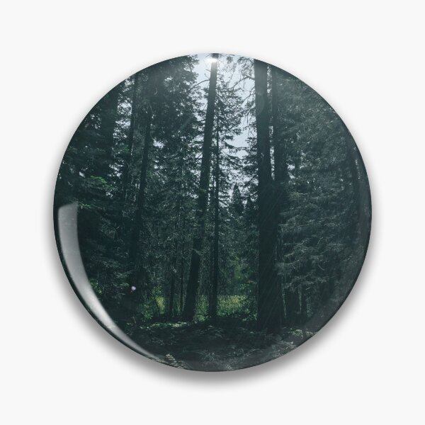 Artikelvorschau, Sequoia Forest entworfen und verkauft von AustermanPhoto.