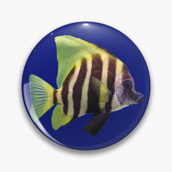 Item preview, Zebra Tang designed and sold by killies.