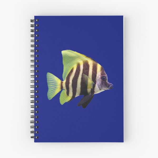 Item preview, Zebra Tang designed and sold by killies.