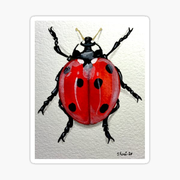 Ladybug nr 2 Sticker