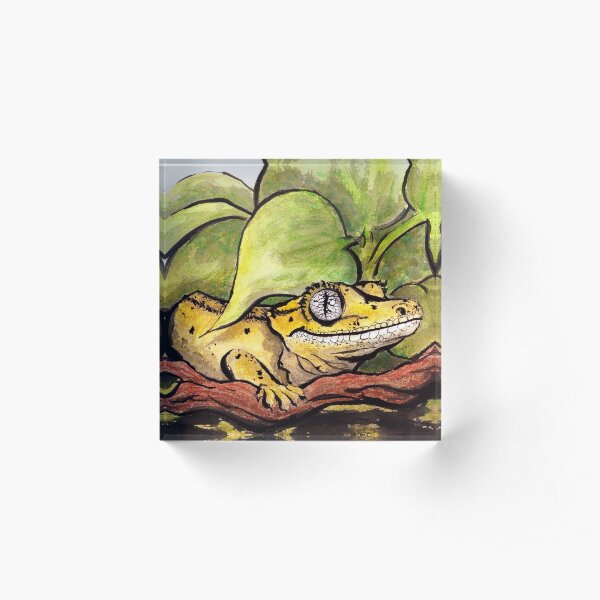 Grinning Gecko Acrylic Block