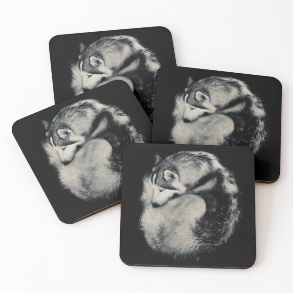 Item preview, Curled Up Siberian Husky Dog Photograph designed and sold by ArtByCBdesign.