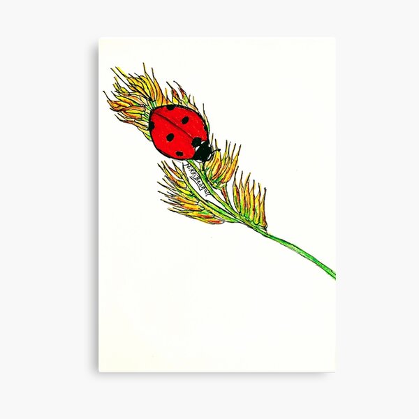 Ladybird Courage Canvas Print
