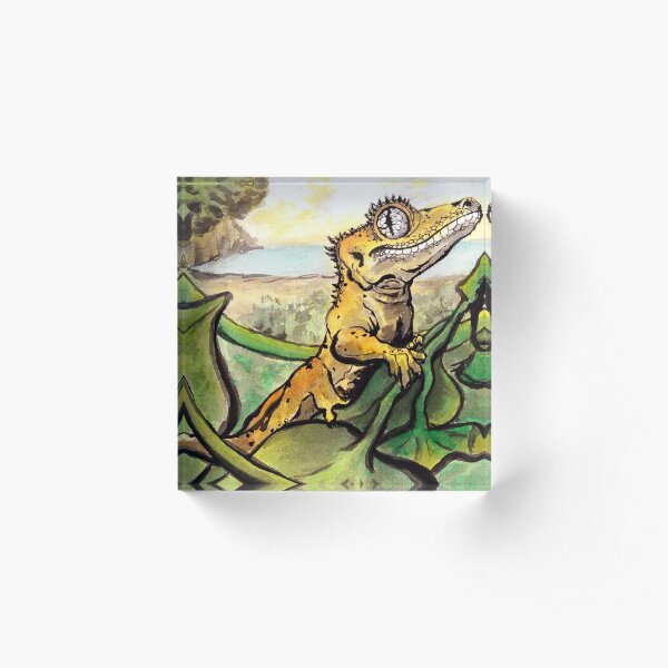 Dreaming of the Wild Acrylic Block