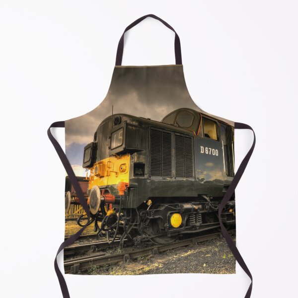 Item preview, Class 37 Pioneer designed and sold by hawkie.