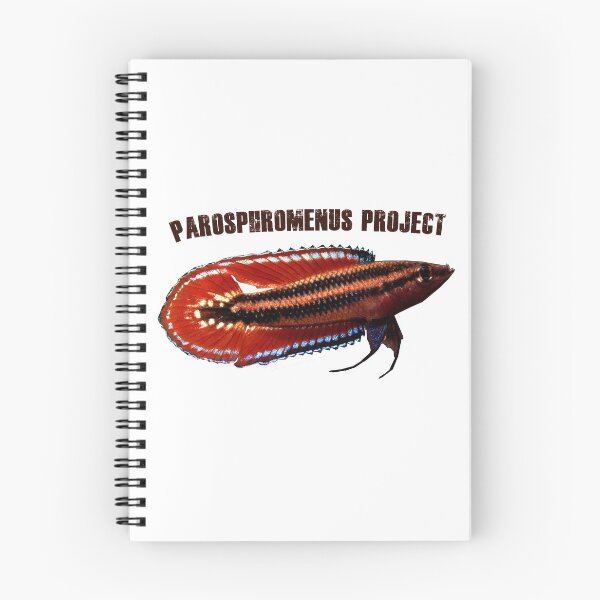 Item preview, Parosphromenus quindecim designed and sold by Parosphromenus.