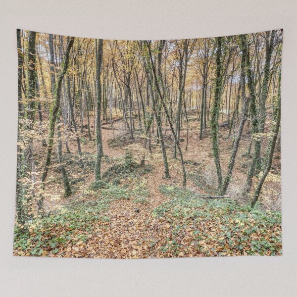 Item preview, Fageda d’en Jordà, Views from Above the Hill (Catalonia). designed and sold by Marc Garrido Clotet.