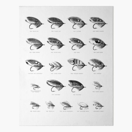 Victorian fly fishing lures Art Board Print for Sale by Bill