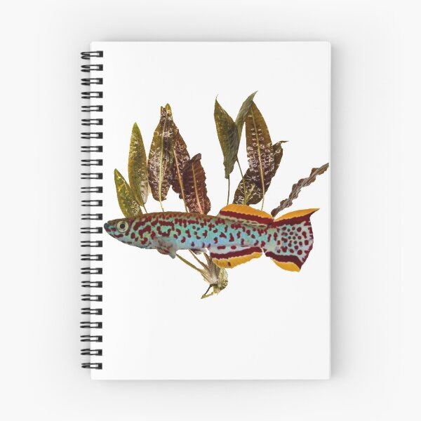 Item preview, Gardneri Killifish and Cryptocoryne designed and sold by killies.