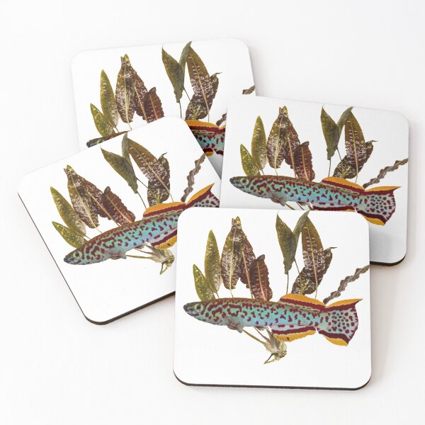 Item preview, Gardneri Killifish and Cryptocoryne designed and sold by killies.