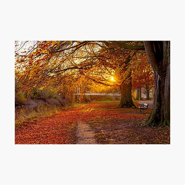 Autumn sunrise in Hereford Photographic Print