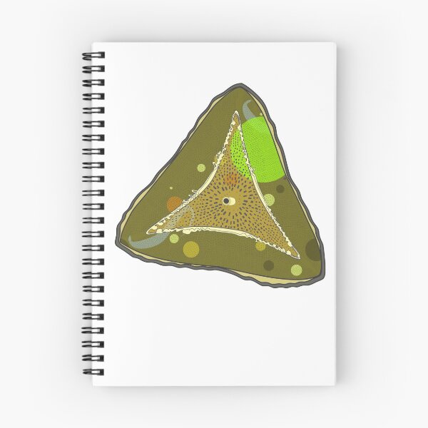 Item preview, Diatom - Ditylum (color) designed and sold by DiatomsATTACK.
