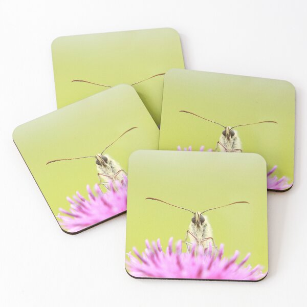 Item preview, Mariposa blanca jaspeada designed and sold by miradorpictures.