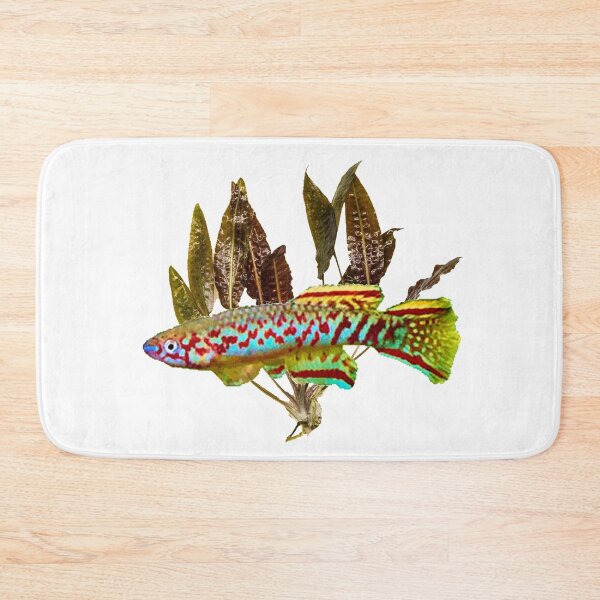 Item preview, killifish geryi abuko and cryptocoryne designed and sold by killies.