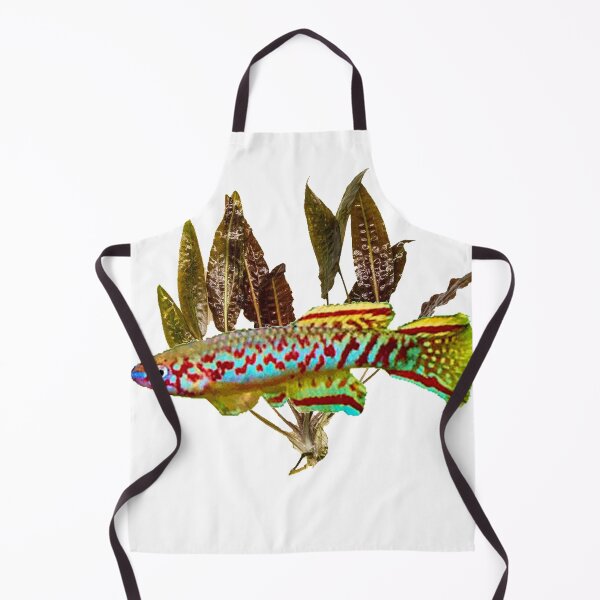 Item preview, killifish geryi abuko and cryptocoryne designed and sold by killies.