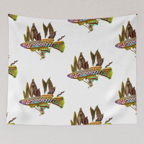 Item preview, killifish geryi abuko and cryptocoryne designed and sold by killies.