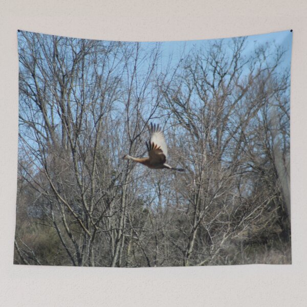 Item preview, Flight of the Sandhill designed and sold by William Franklin-Cromwell.