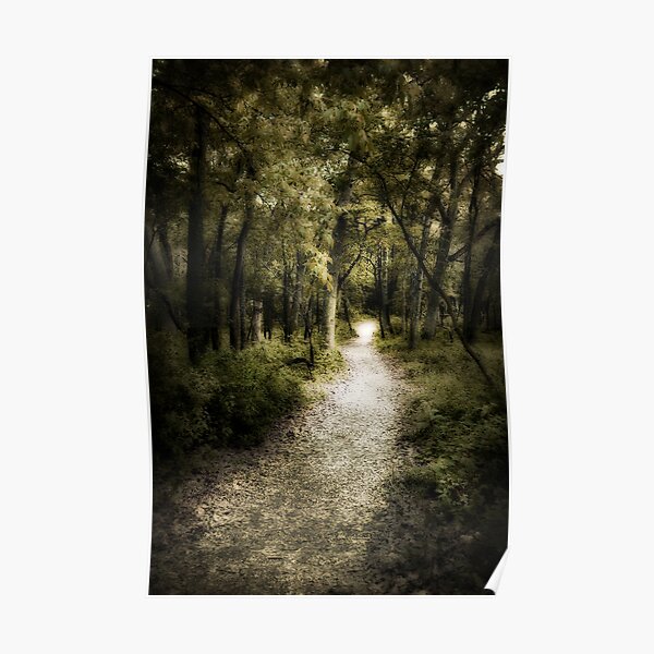 ethereal path Poster