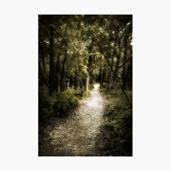 ethereal path Photographic Print