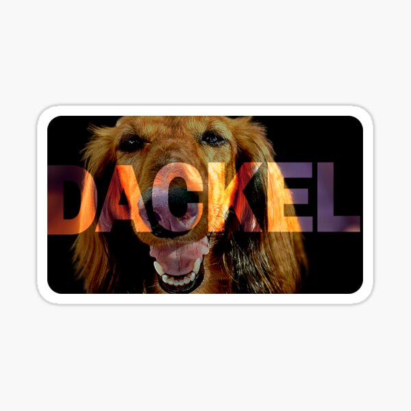 Dachshund Design - I love Dachshunds! Sticker
