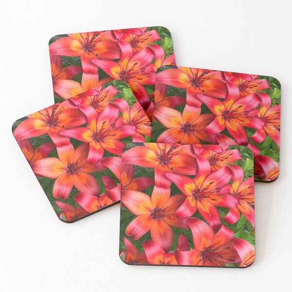 Item preview, Beautiful daylilies designed and sold by RKA-Products.