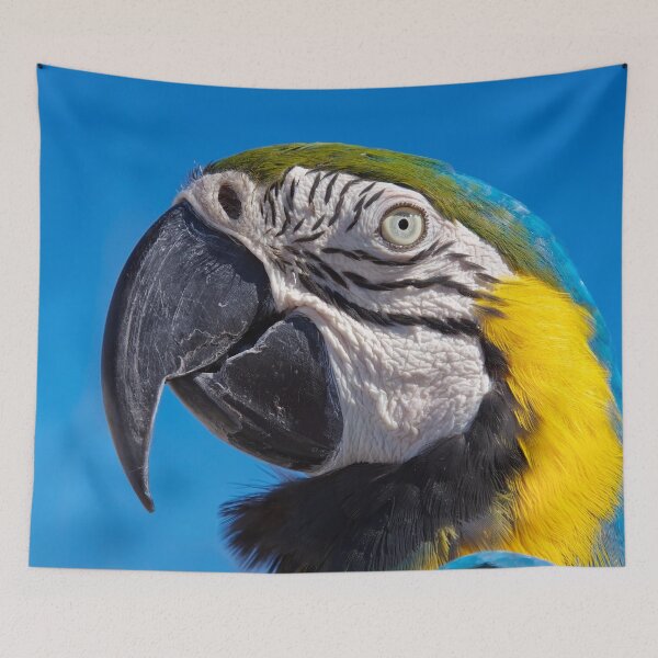 Item preview, Eye contact designed and sold by Travelways.