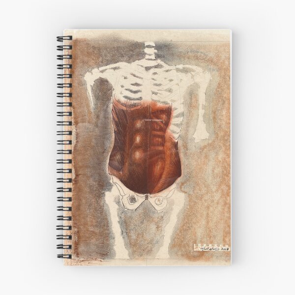 Item preview, Study of Abdominal Muscles designed and sold by Neil Horton.