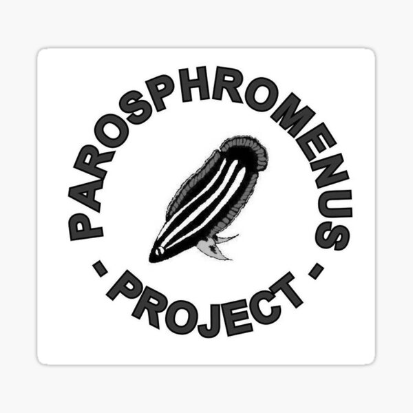 Parosphromenus project Sticker