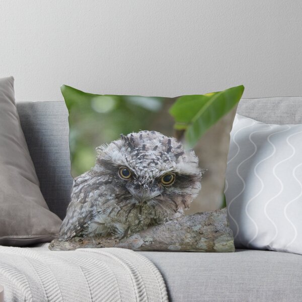 Item preview, I Can't Help But Look designed and sold by byronbackyard.