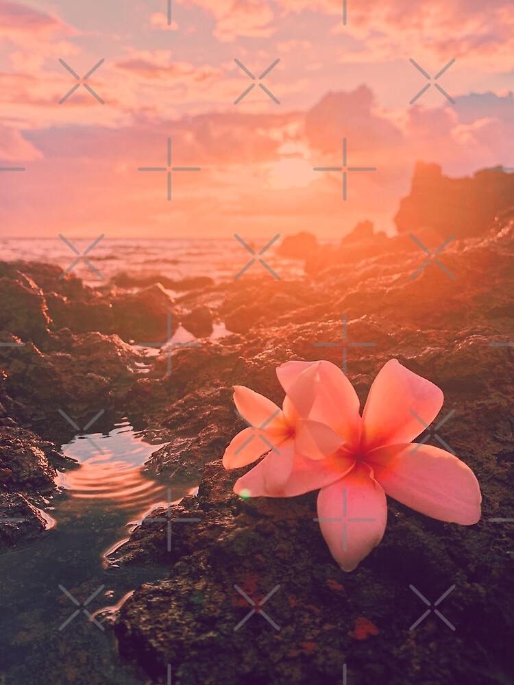 2100+] Flower Aesthetic Wallpapers