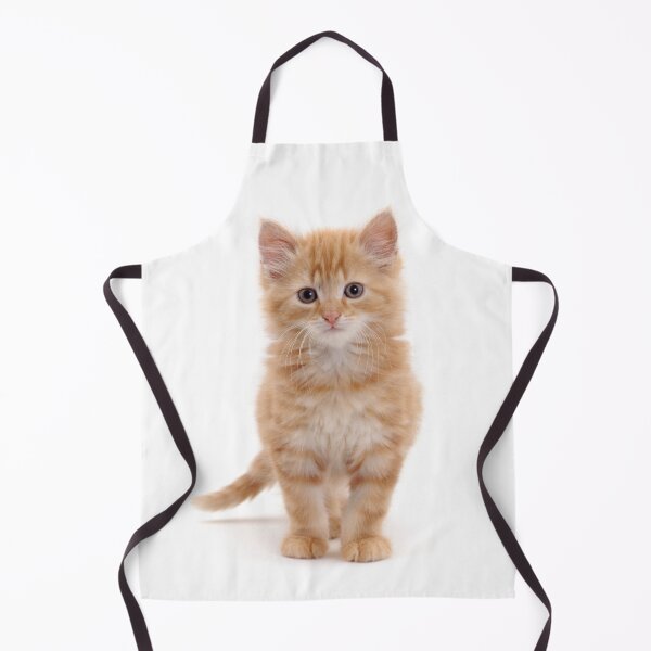 Item preview, Fluffy ginger kitten designed and sold by Warren  Photographic.