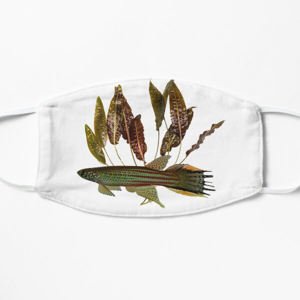 Renova oscari killie - cryptocoryne Flat Mask