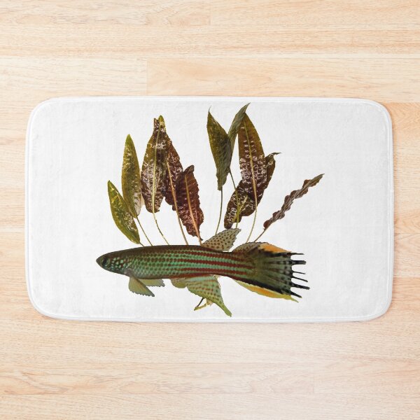 Item preview, Renova oscari killie - cryptocoryne designed and sold by killies.