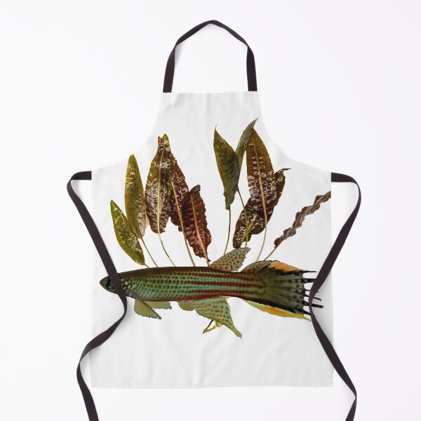 Item preview, Renova oscari killie - cryptocoryne designed and sold by killies.