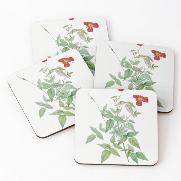 Item preview, Les Roses by Pierre-Joseph Redouté designed and sold by EsotericBotanic.
