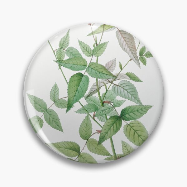 Item preview, Les Roses by Pierre-Joseph Redouté designed and sold by EsotericBotanic.