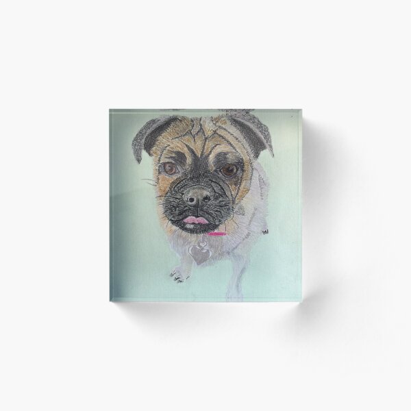 Pug Acrylic Block