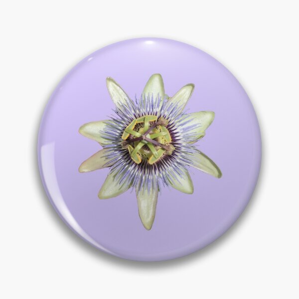 Aperçu de l'œuvre Véritable passiflore Passiflora Design Png Fleur de la passion botanique créée et vendue par plantmom94.