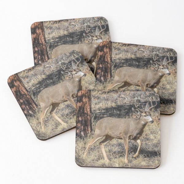 Item preview, Mule Deer Buck designed and sold by TBirdPhotos.