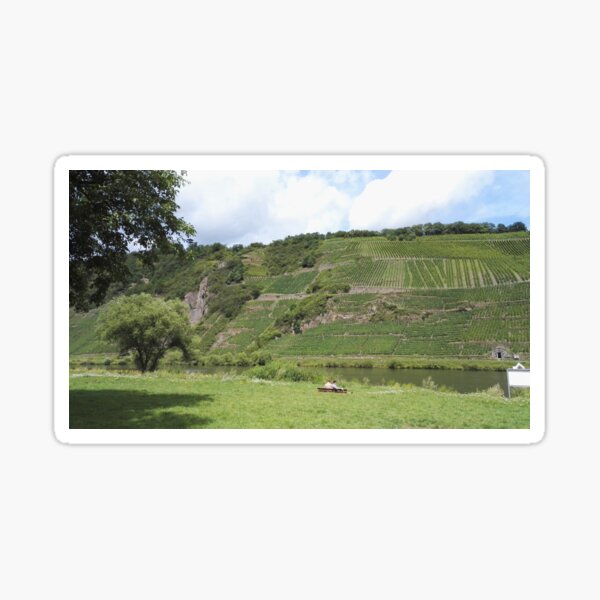 Item preview, Marienburg vineyards in Pünderich, Mosel Valley, Germany. designed and sold by wineandwords.