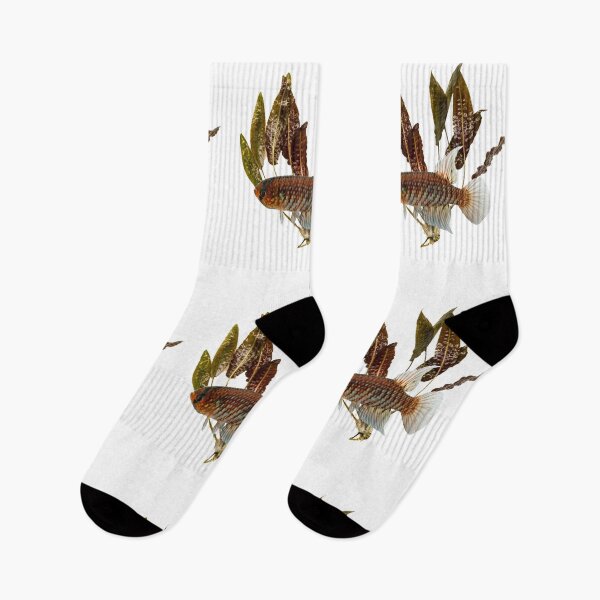 Item preview, Papiliolebias and crypt designed and sold by killies.