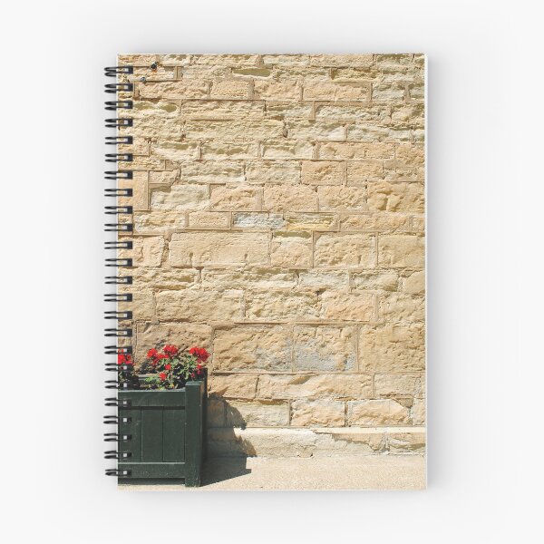 Item preview, The Geraniums and the Wall designed and sold by MarjorieB.