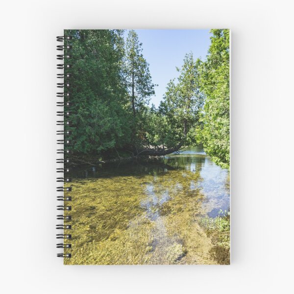 Item preview, Cypress Forest River - the Silky Sunshine of Summer designed and sold by Georgia Mizuleva.