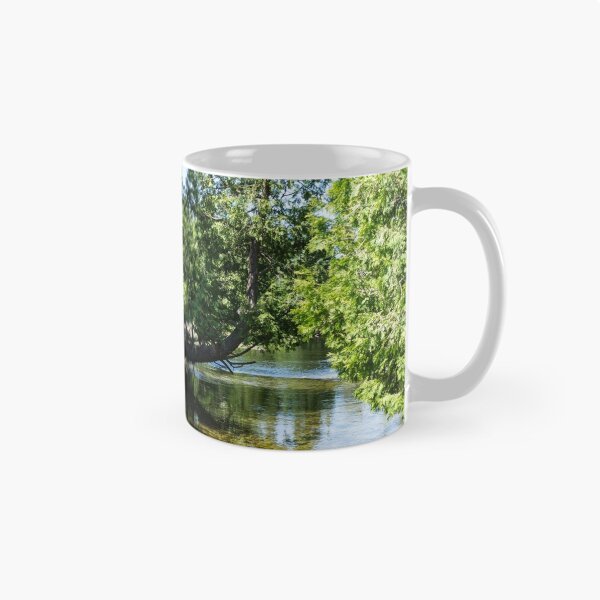 Item preview, Cypress Forest River - the Silky Sunshine of Summer designed and sold by Georgia Mizuleva.