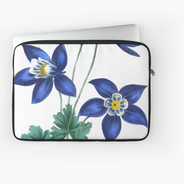 Aquilegia glandulosa from The floral cabinet and magazine of exotic botany Volume 1 (1837) Laptop Sleeve